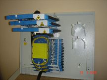 Серия W317